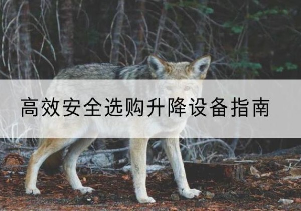桑植升降货梯厂家推荐-*安全选购升降设备指南