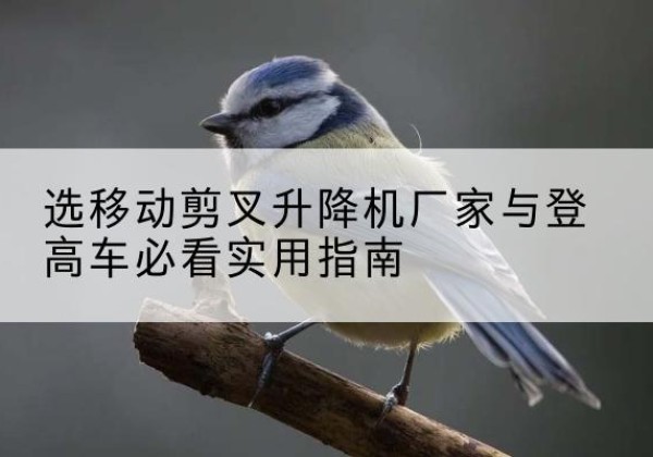桑植电动升降机厂家-选移动剪叉升降机厂家与登高车必看实用指南