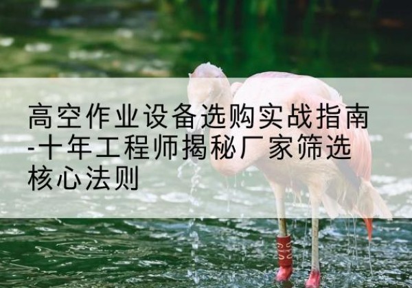 桑植剪叉式升降机厂家-高空作业设备选购实战指南-十年工程师揭秘厂家筛选核心法则